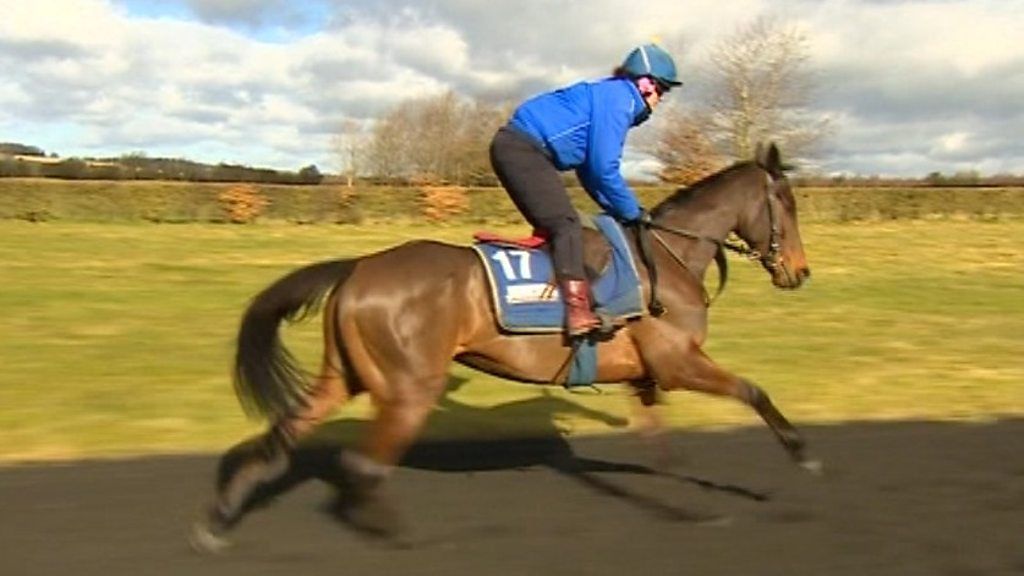 How the weather can leave your Cheltenham Festival tips under a cloud