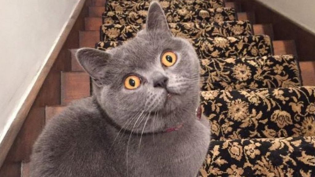 Your #BackToWork tweets of sorrow