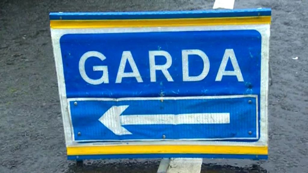 Cows killed after motorway crash in County Meath