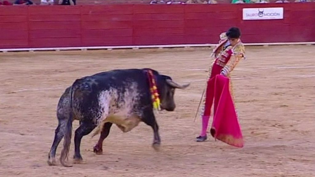 Matador Victor Barrio killed by bull in Spain - BBC News