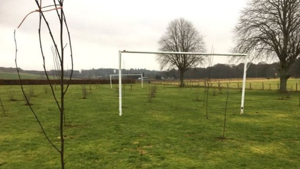 Council apology over trees planted on football pitch