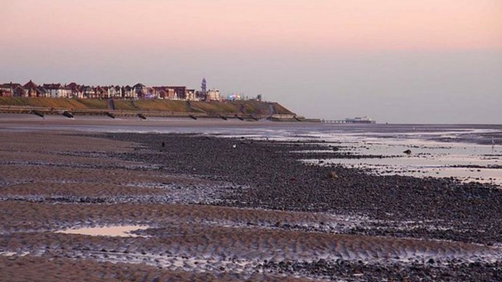 Decomposed torso found on beach