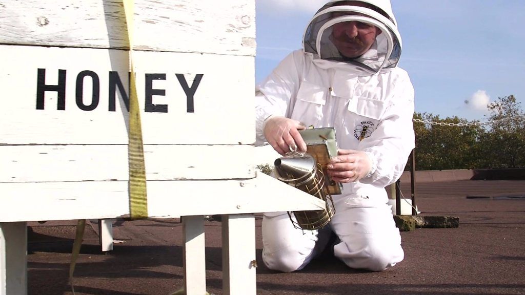 Urban beekeeping creating a buzz