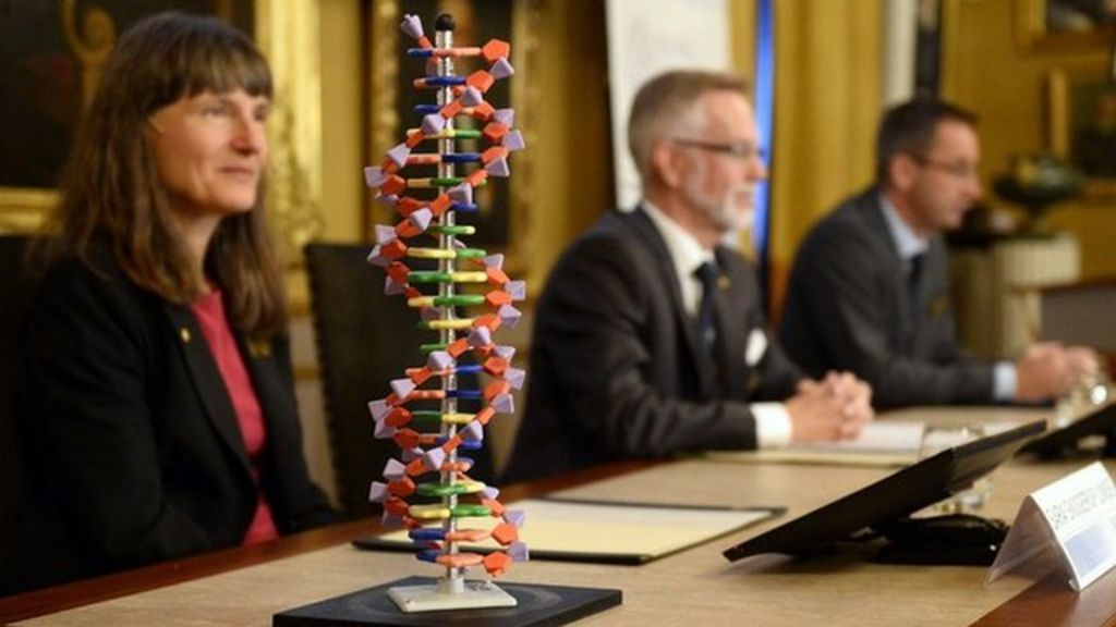 DNA repair wins chemistry Nobel