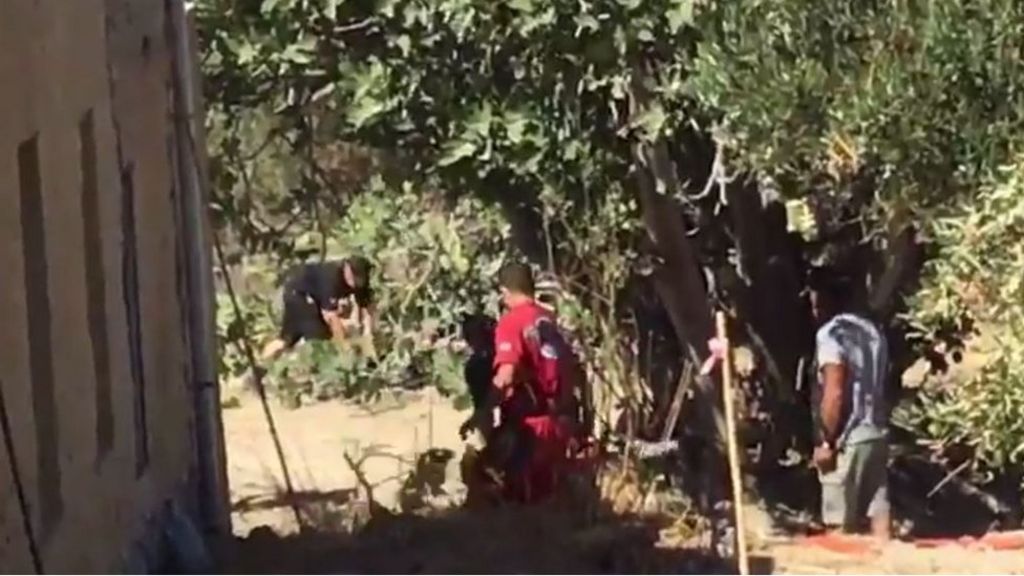 Ben Needham: Kos search team focuses on 'newly planted tree'