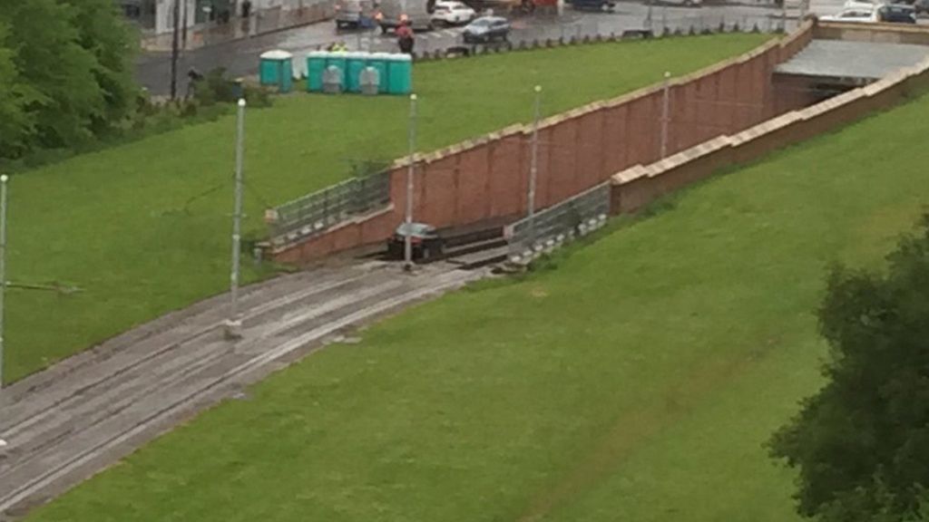 Trams suspended by wrong-way driver