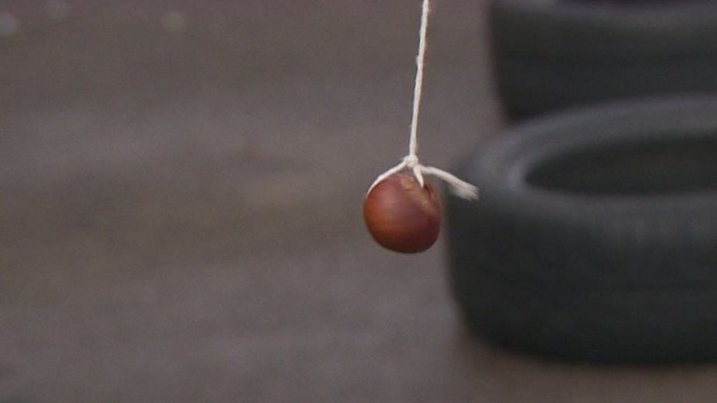 VIDEO: Conkers under threat from moths