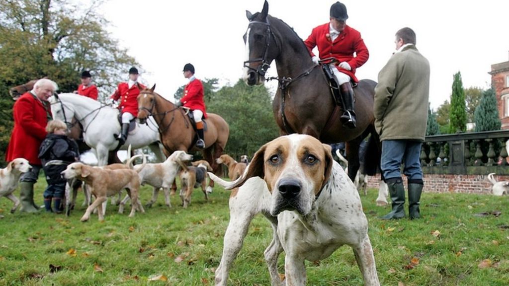 Police say Scottish fox hunting law 'unworkable'