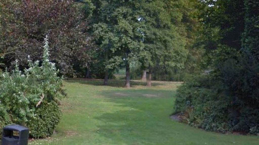 Teenagers sexually assault two girls