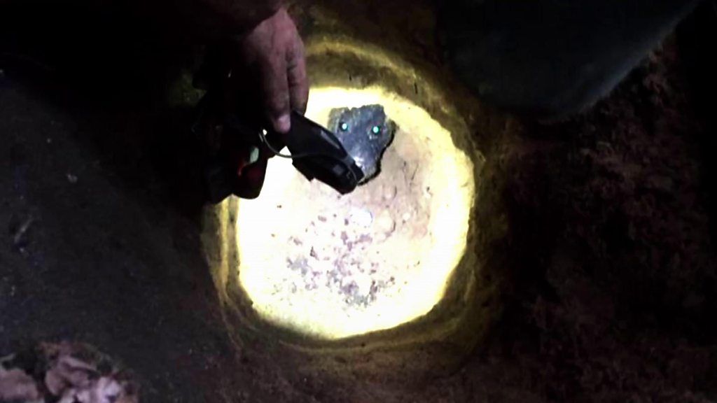 Missing dog found in Manchester park stuck in rabbit hole