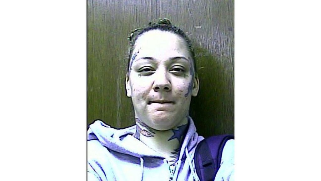 Sex worker spied by drone pleads guilty