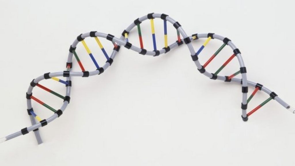 VIDEO: How ethical is gene editing?