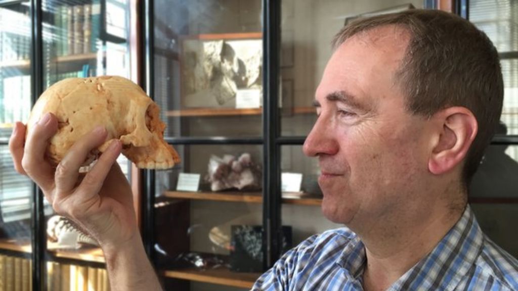 AUDIO: 'Hobbit' species older than thought