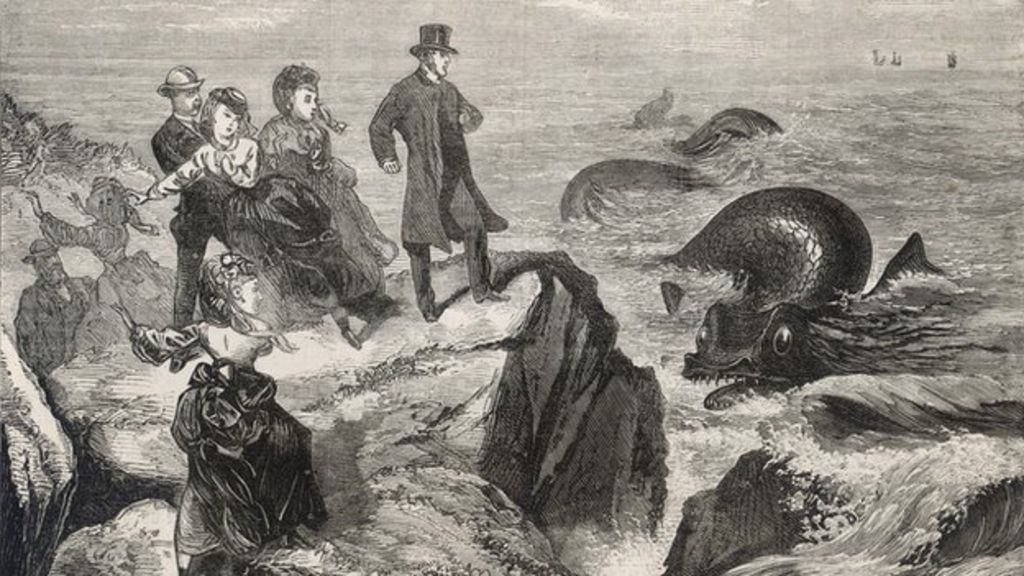 picture-of-irish-sea-monster-surfaces-in-london-image-archive-bbc-news