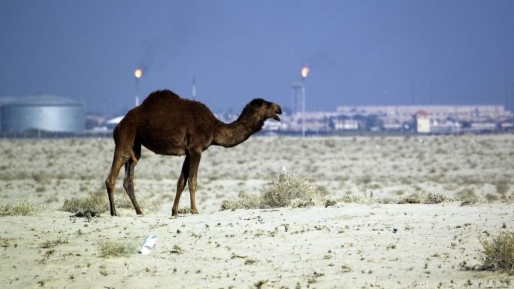 Qatari royal freed by kidnappers in Iraq