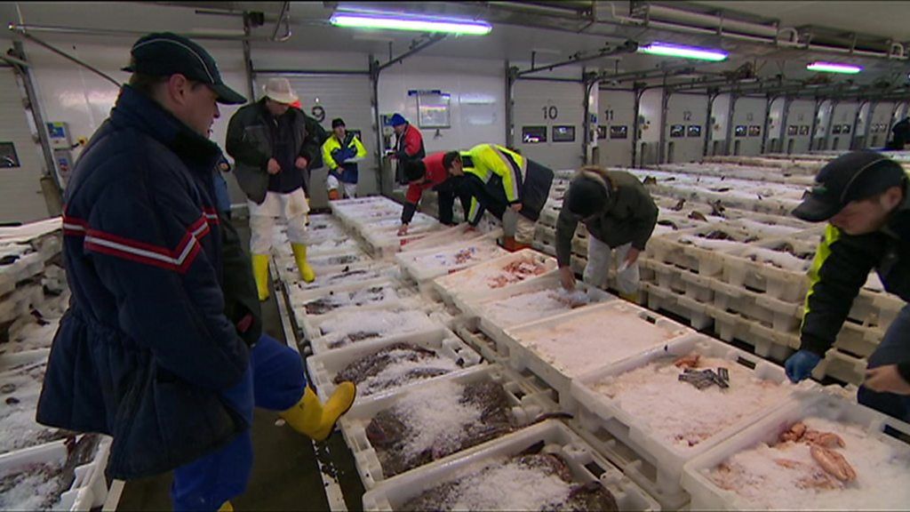 Brexit: What is Scottish fishing industry angling for?