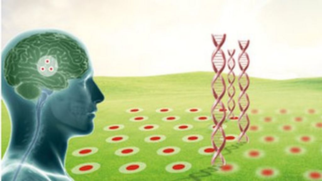 Virtual reality maze 'predicts Alzheimer's disease'
