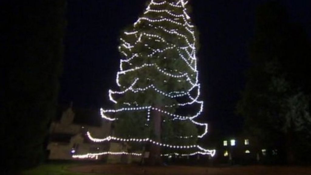 VIDEO: 'Tallest' Christmas tree decorated