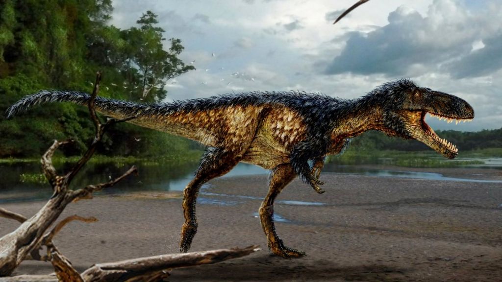 Dinosaur find resolves T-Rex mystery