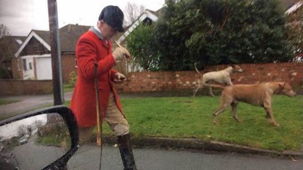 'Out of control' hunt accused of killing fox in Macclesfield garden