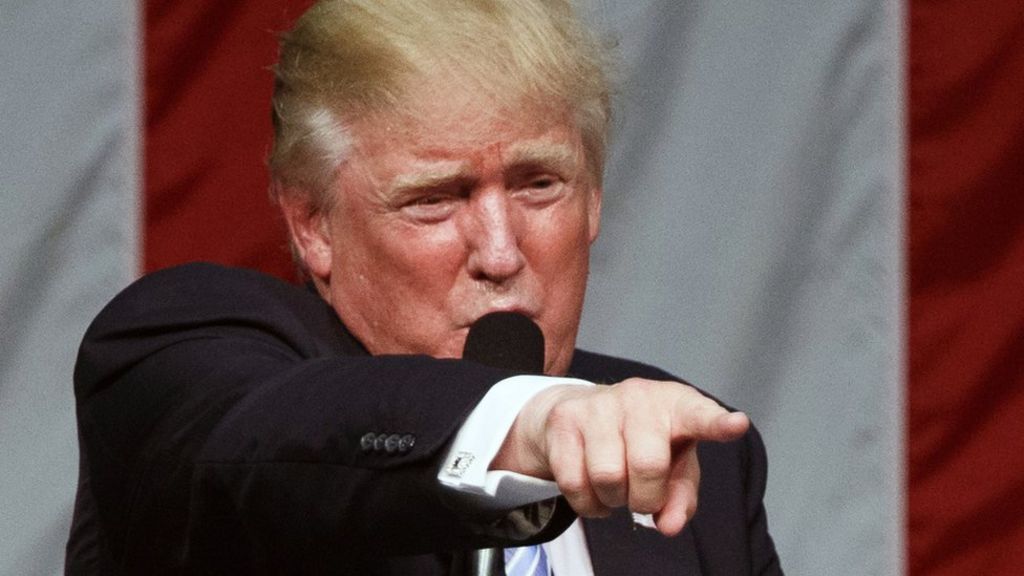 Trump election: Wisconsin prepares for vote recount - BBC News