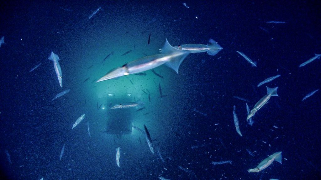 Grand Canyon in blue
