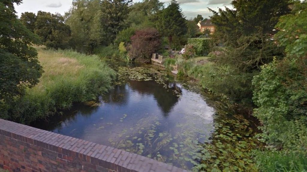 More than 1,000 fish killed in River Avon