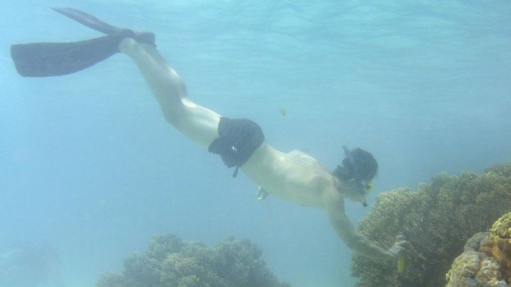Death on the reef