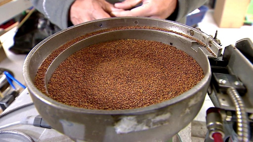 VIDEO: Schools plant seeds sent from space