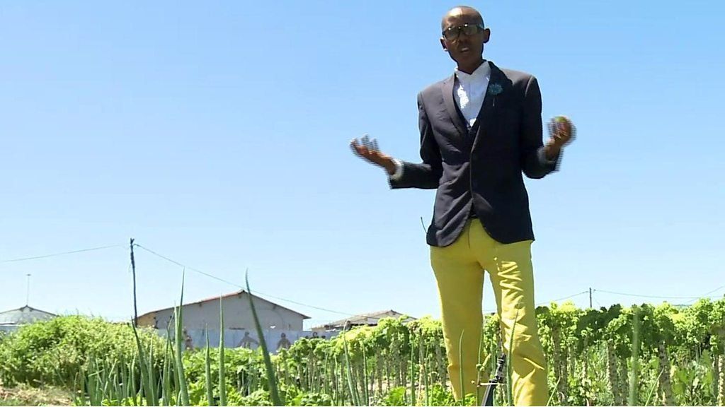 It's miraculous, says South Africa's spinach king