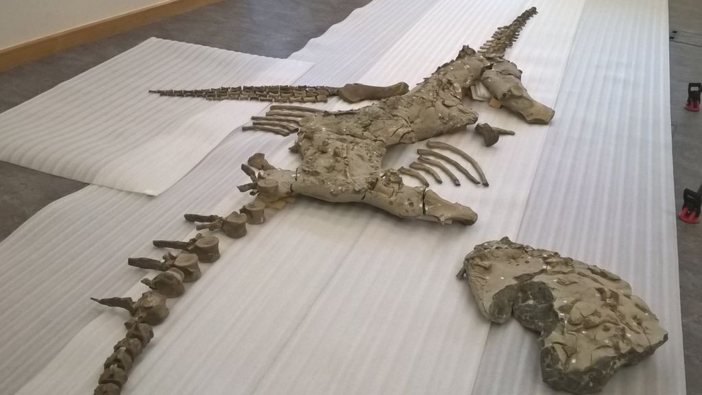 Jurassic 'sea monster' is unveiled