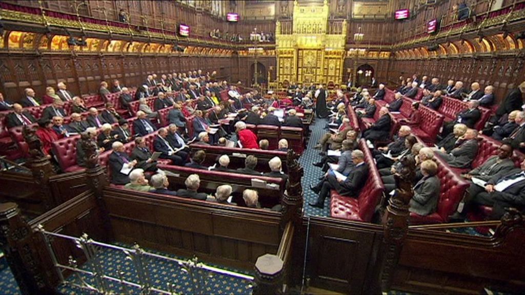 Plans to cut number of Lords 'are very limited'
