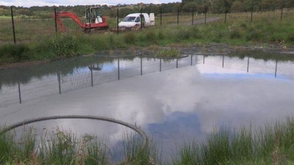 VIDEO: Sewage works become wildlife habitat