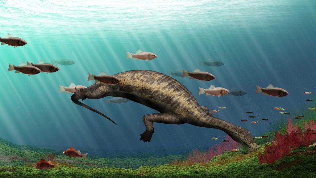 Fossils shed light on 'bizarre' reptile