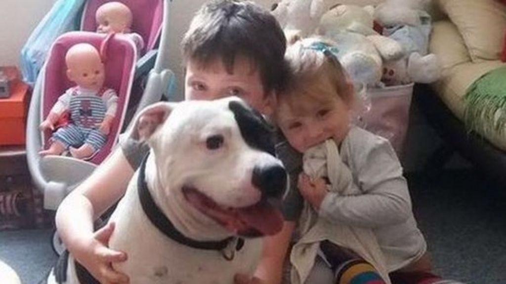 London bus dog reunited with family