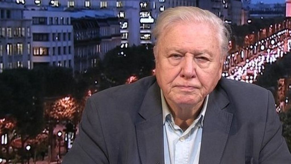 VIDEO: Attenborough: 'Solar should undercut oil'