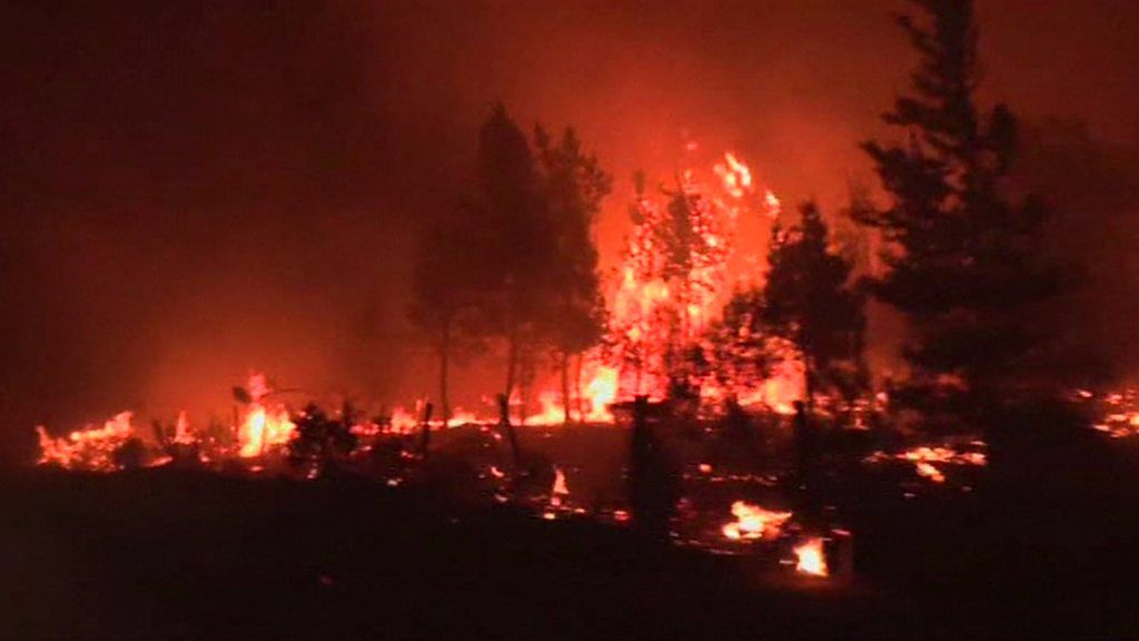 'Red alert' as Chile wildfires destroy houses and forest