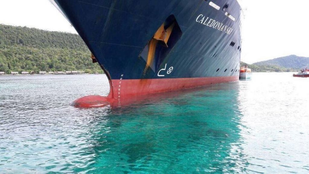 Anger over UK ship's damage to pristine reef