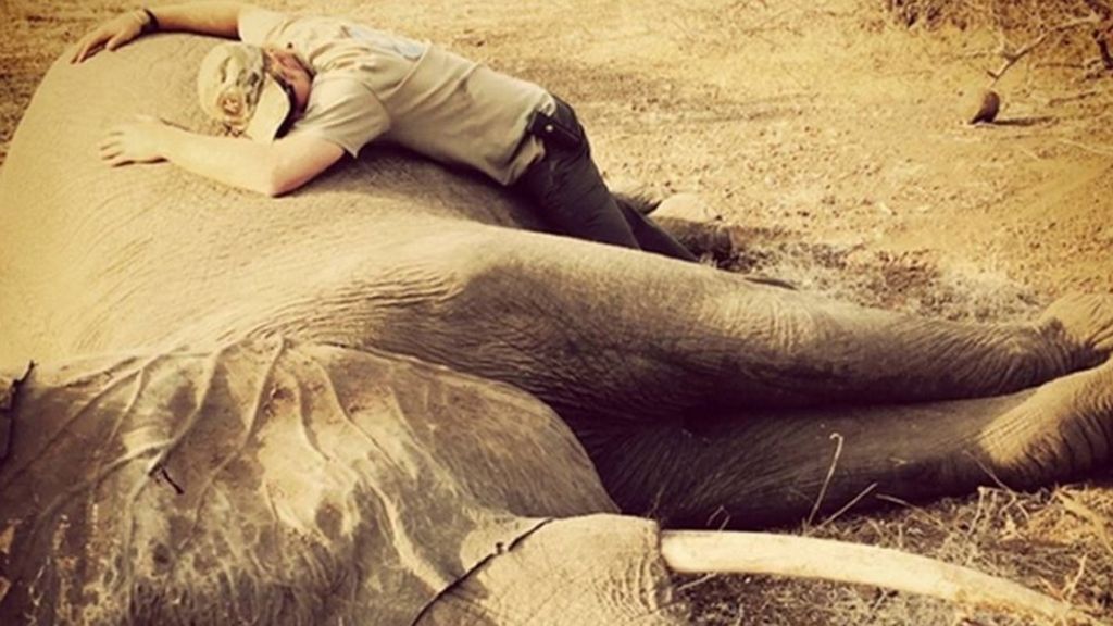 Prince Harry 'frustrated' by poaching