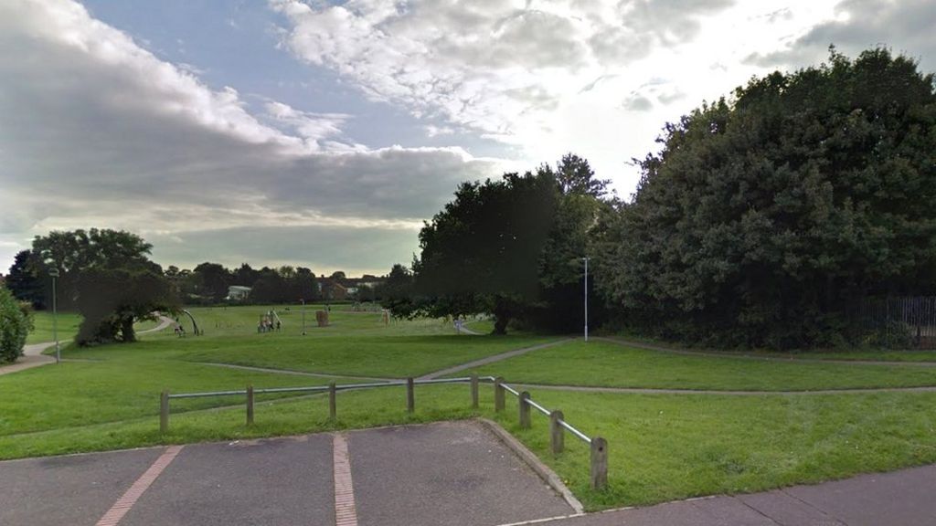 Arrest after girl dragged from Norwich Pointers field play area