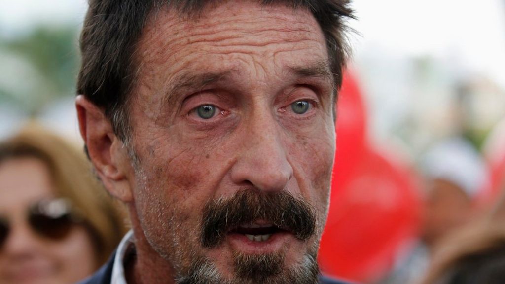 John McAfee to run for US president