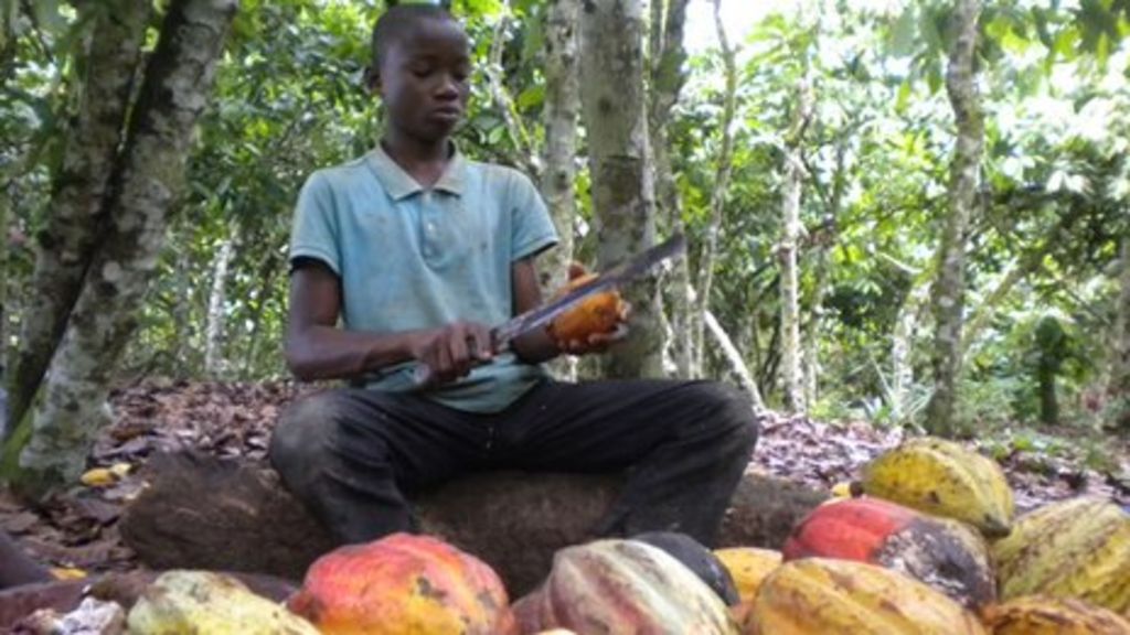 Ivory Coast cocoa farms child labour Little change BBC News