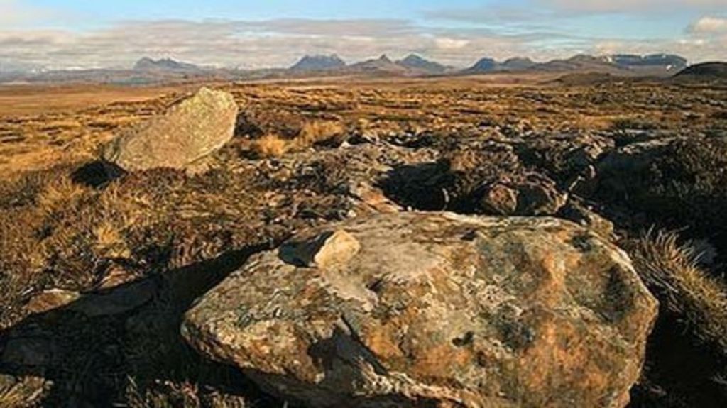 UK peatlands in degraded state, UN and Wetlands International warn