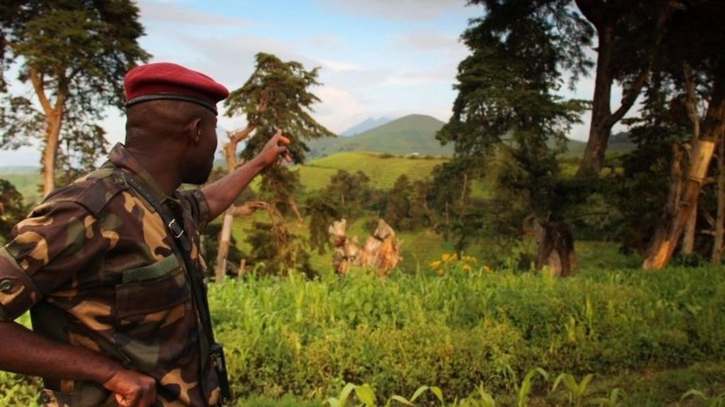 how-dr-congo-rebels-make-their-money-bbc-news