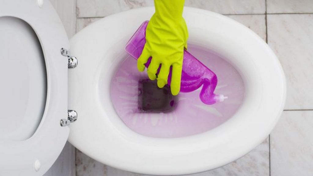 Is the toilet seat really the dirtiest place in the home? BBC News