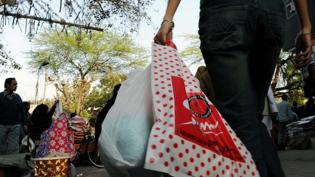 Plastic bags should not be banned essay picture