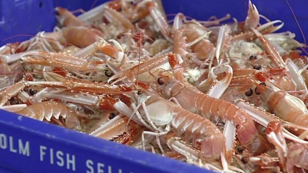 fishing-quotas-deal-a-positive-result-for-northern-ireland-industry