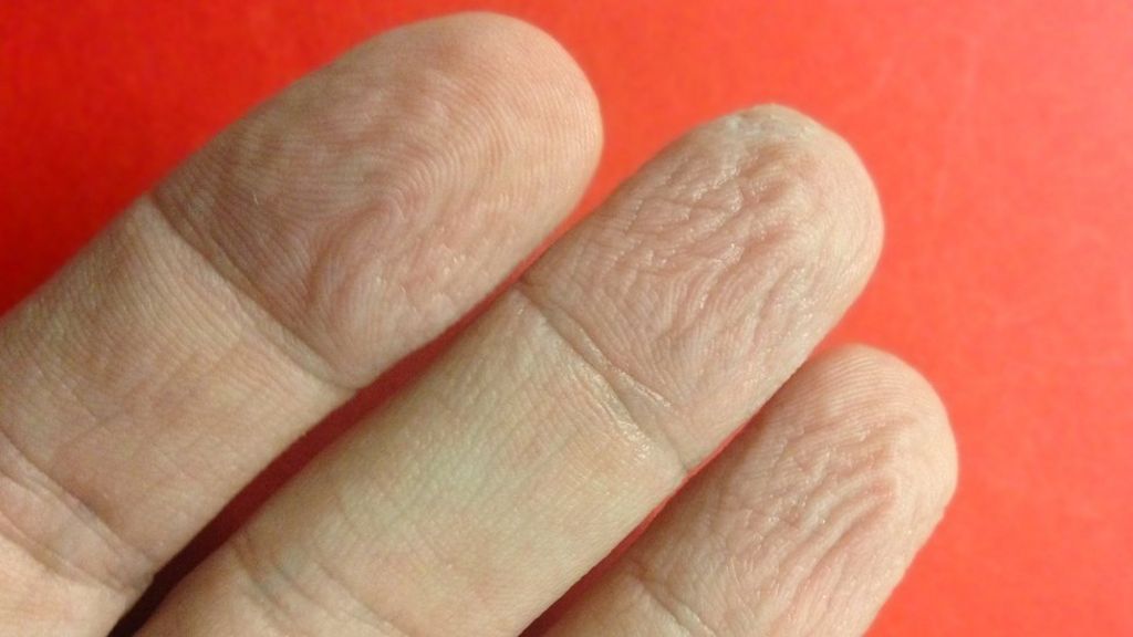 Science puts wrinkled fingers to the test BBC News