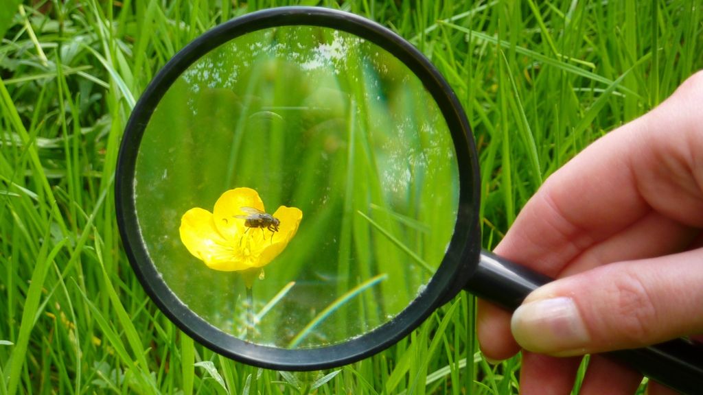 Funding boost for UK citizen science project