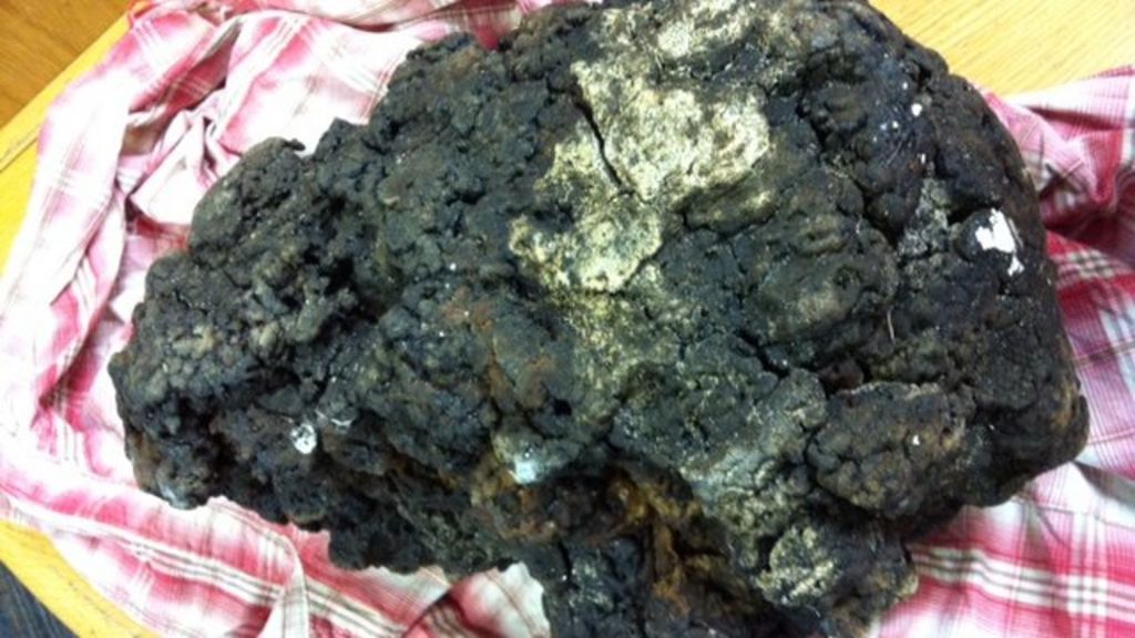 tests-show-rare-ambergris-found-on-anglesey-is-rubber-bbc-news